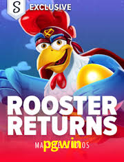 Crash Games Statistics pgwin