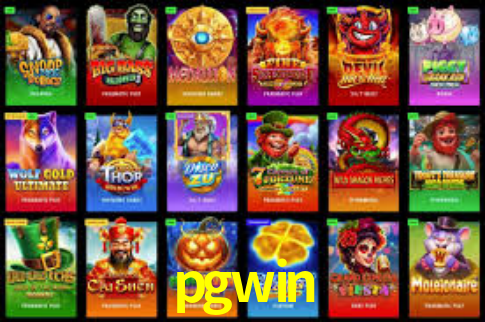 pgwin,pgwin plataforma