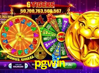 Interface Premium pgwin