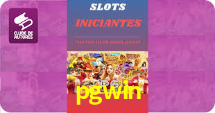 Premium Interface pgwin